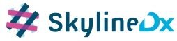 SkylineDX