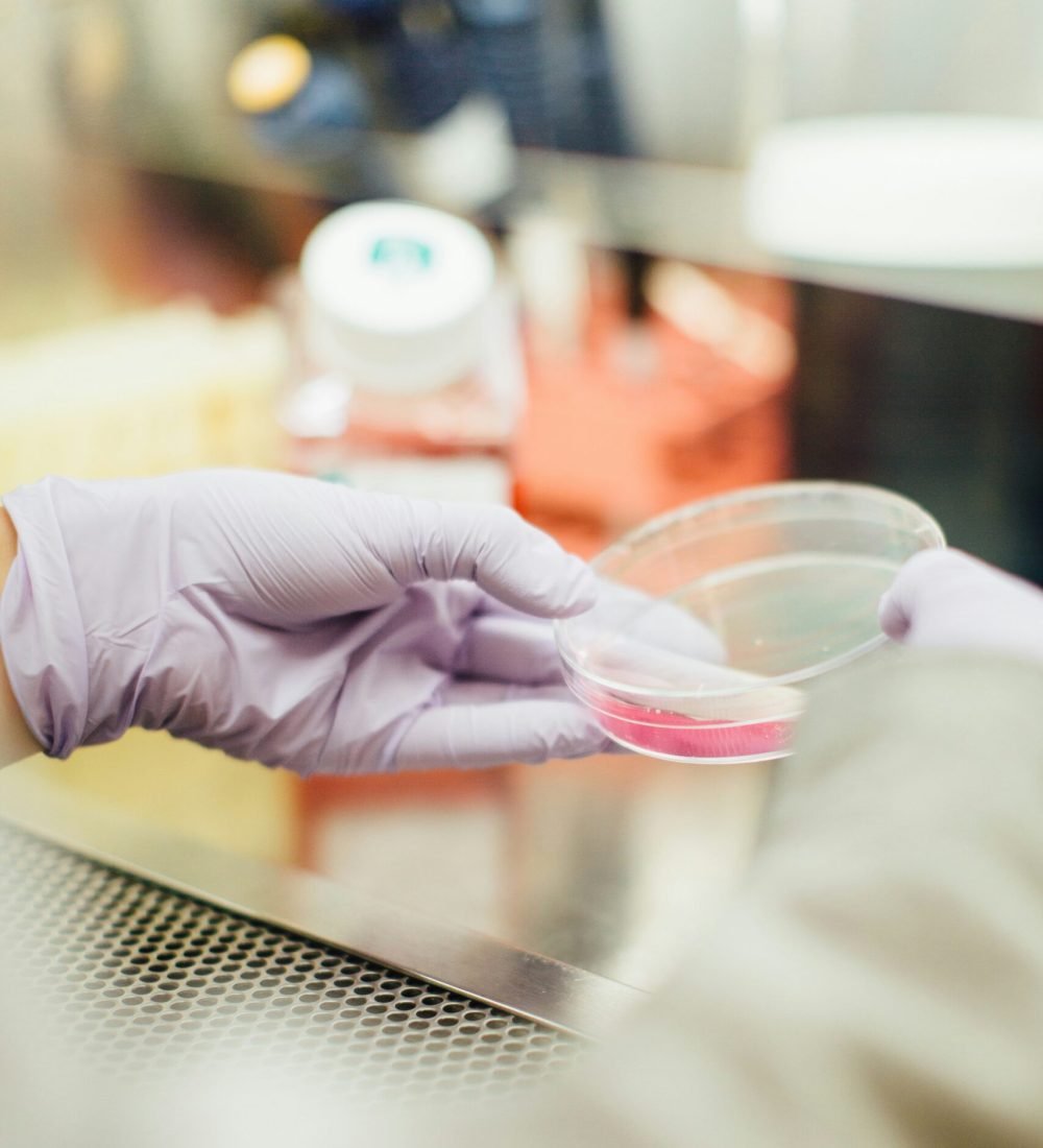 drew-tGYrlchfObE-unsplash